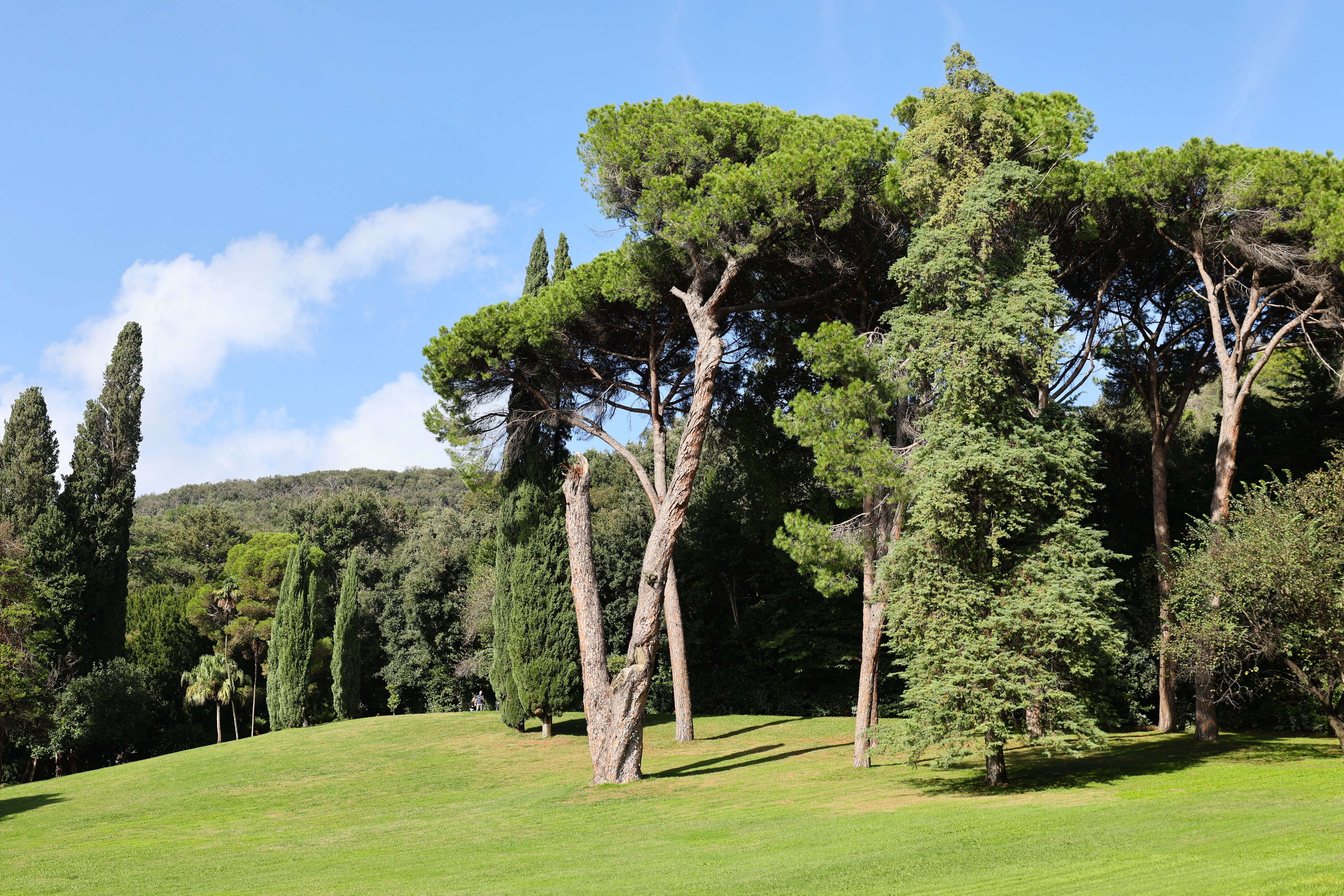 English Garden